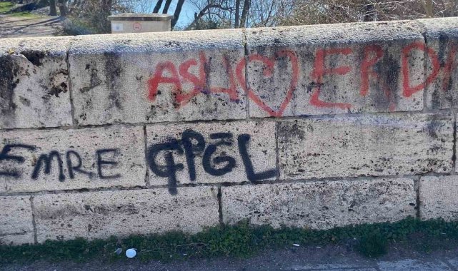 Talazan Köprüsü'nü Niksar Jandarma ve Belediye Ekipleri Temizledi
