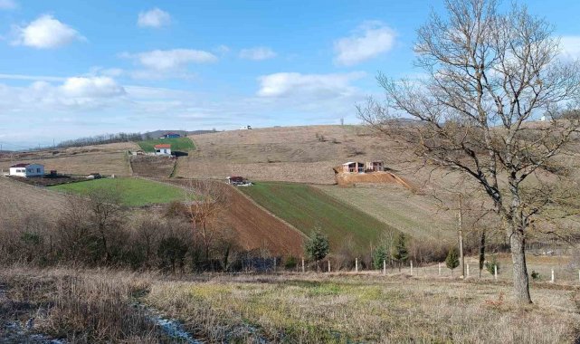 Tapu'dan 2023 yılında devlete 773 milyon TL gelir