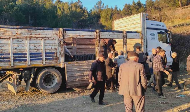 Tavşanlı'da köylülere 750 hünnap fidanı dağıtıldı