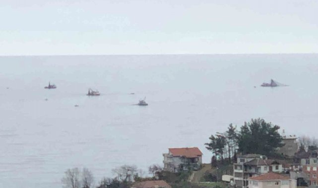 Tekneler balık mesaisinde