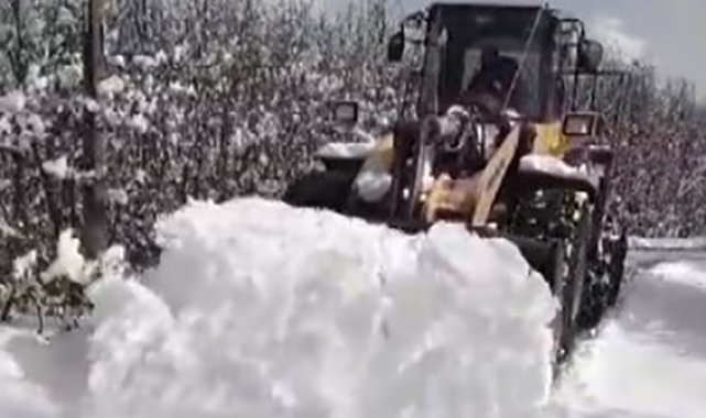 Tunceli'de kardan kapanan köy yolları ulaşıma açılıyor