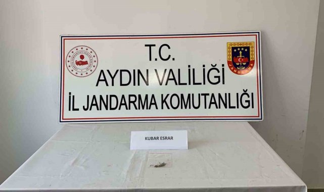 Uyuşturucu kullanan 7 kişi yakalandı