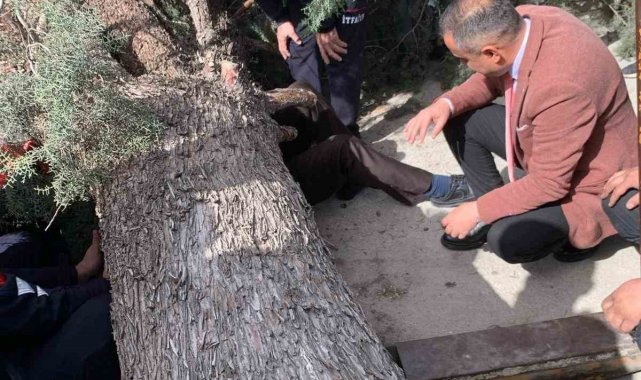 Burdur'da üzerine ağaç devrilen belediye başkan adayı ve oğlu ağır yaralandı
