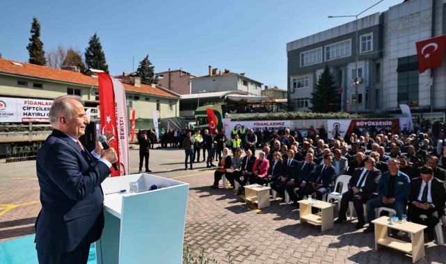 Denizli'de 14 ilçede 240 bin zeytin fidanı toprakla buluşacak