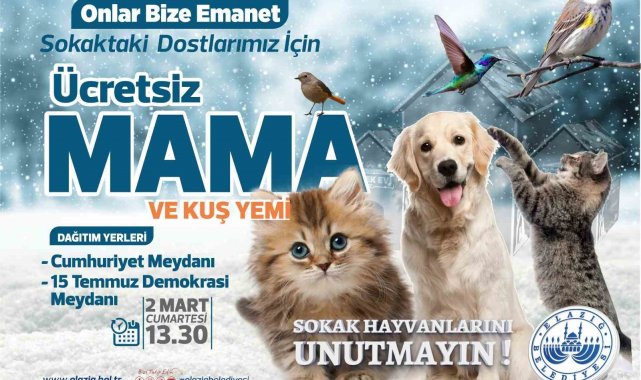 Elazığ Belediyesi ücretsiz mama ve kuş yemi dağıtacak