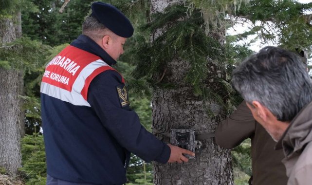 Jandarma ekipleri Dünya Yaban Hayatı Günü'nde doğaya yem bıraktı