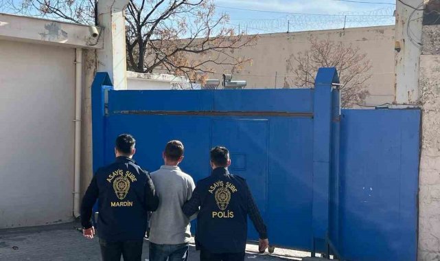 Mardin'de çeşitli suçlardan 12 zanlı tutuklandı