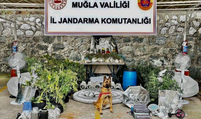 Marmaris'teki eve uyuşturucu baskını