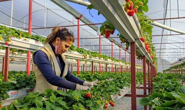 Seracılıkta kendini kanıtladı, şimdi başkalarını üretici yapmak istiyor