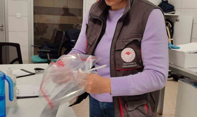 Söke'de 1 ayda 5 bin ton zirai ürün ihraç edildi