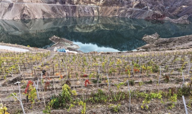 Yeni Yusufeli'nde sosyo ekonomik hayat yeniden inşa ediliyor