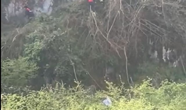 Ağaç keserken uçuruma yuvarlandı