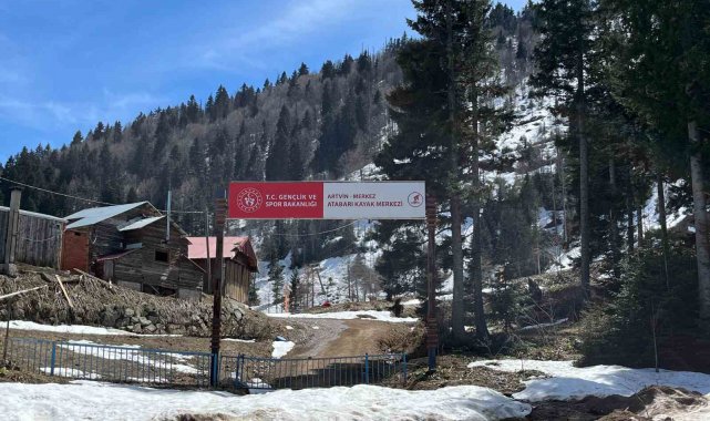 Artvin'de aç kalan ayılar kayak tesisine dadandı