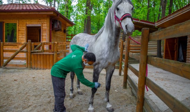 Avrupa'nın en büyük doğal yaşam parkı bayramda doğaseverler için hazırlandı