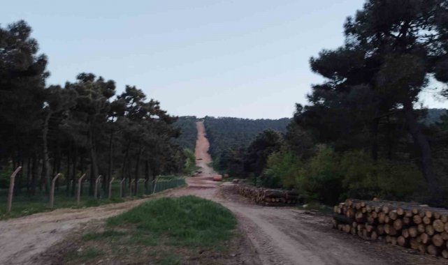 Aydos ormanında çıkan yangın söndürüldü