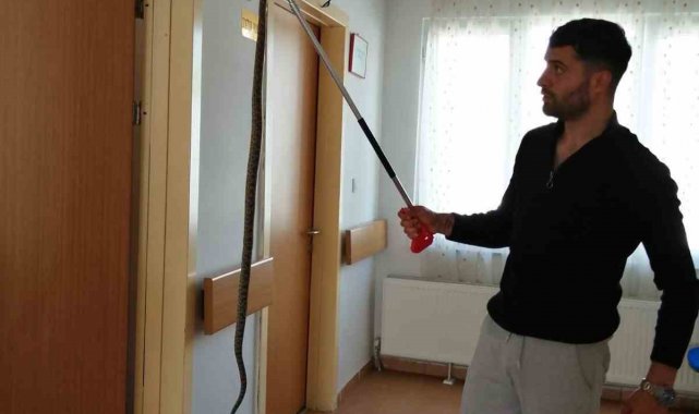 Bilecik'te sağlık ocağına giren yılan panik yaşattı