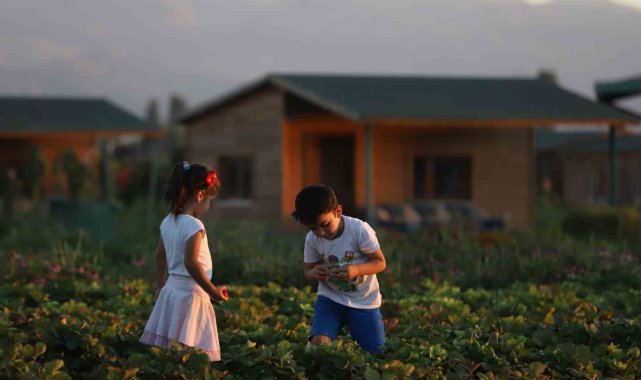Büyükşehir'de 2 bin 543 adet hobi bahçesi için 22 bini aşkın başvuru