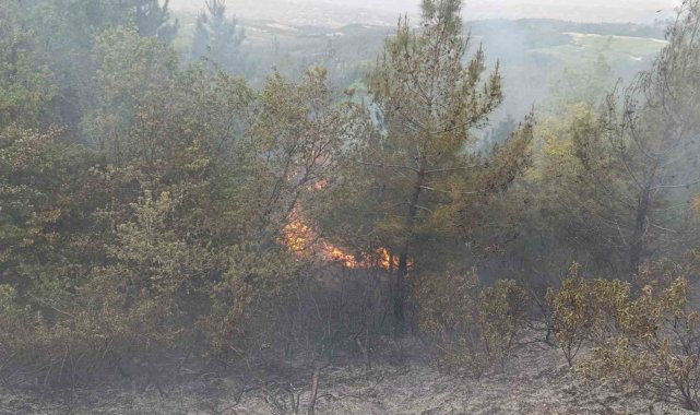 Denizli'de sezonun ilk orman yangını büyümeden söndürüldü