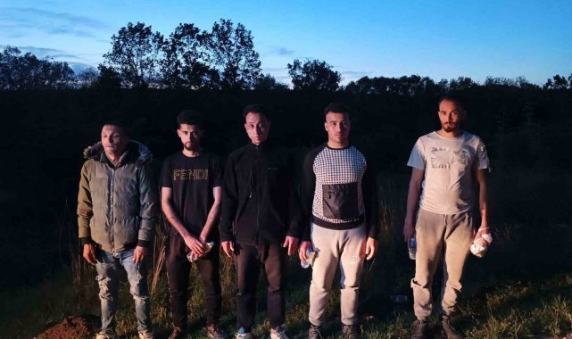 Edirne'de 5 kaçak göçmen yakalandı
