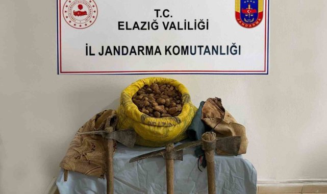 Elazığ'da 30 kilogram salep bitkisi ele geçirildi
