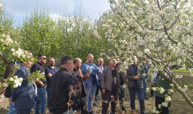 Erzincan'da uygulamalı "Meyve Ağacı Budama" kursu verildi
