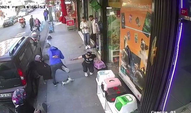 Esenler'de "Yedi Bela Hüsnü" isimli bir kedi, kimseye geçit vermiyor
