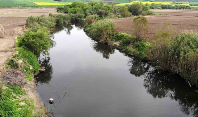 Gönen Çayı'nda kirlilik: Toplu balık ölümleri yaşandı