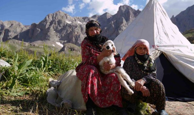 Havalar ısındı, meralar şenlendi