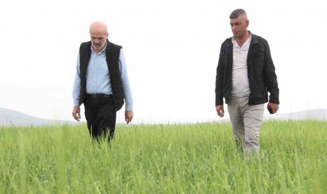 Karaman'da aniden yağan dolu ekili arazilerde zarara yol açtı