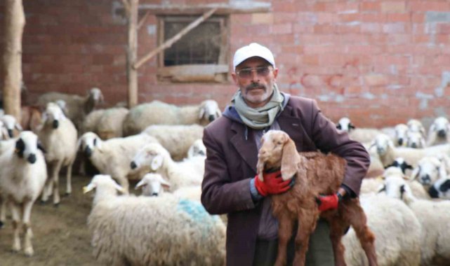Kendisine oy vermeyen baldızı ve bacanağına şiir yazmıştı, film teklifi aldı