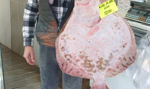 Kilosu bin 200 liradan tezgaha indi, ilgi odağı oldu