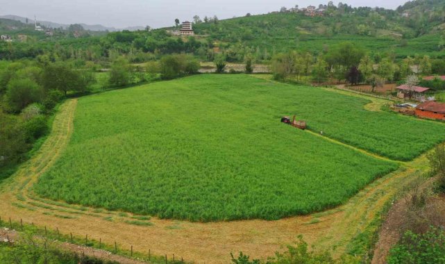 Ordu'da Büyükşehrin tarım makineleri çalışıyor