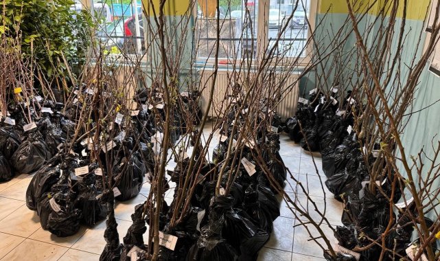 Rize'de vatandaşlara bin 500 meyve fidanı dağıtıldı
