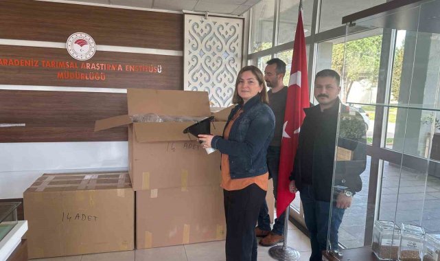 Samsun'da 'kahverengi kokarca' ile mücadele: 250 tuzak dağıtıldı