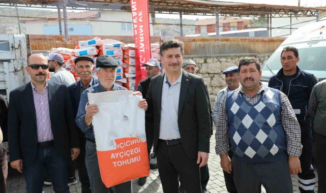Seyitgazi'de ayçiçeği üretimi artıyor