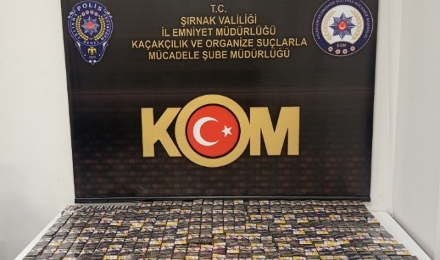 Şırnak'ta asayiş ve terör operasyonu: 46 gözaltı