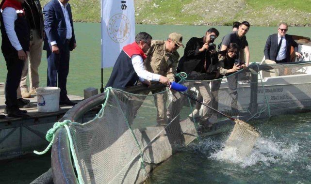 Şırnak'ta kafeslerden 30 ton balık hasat edildi