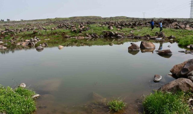 Siverek'te gölete giren çocuklar boğulma tehlikesi geçirdi