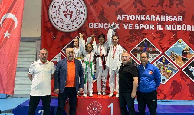 Taekwondo il şampiyonası tamamlandı