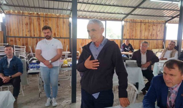 Vatandaş, belediye ve özel idareyi valiye şikayet etti: "Köpek sorunuyla ilgilenmiyorlar"