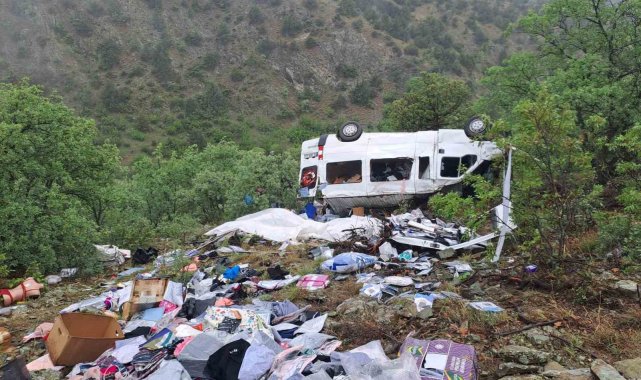 Viraji alamayan minibüs şaramplole yuvarlandı: 1 yaralı
