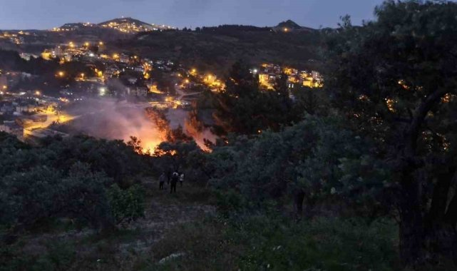 Yıldırım düşen ağaçlık alanda yangın çıktı