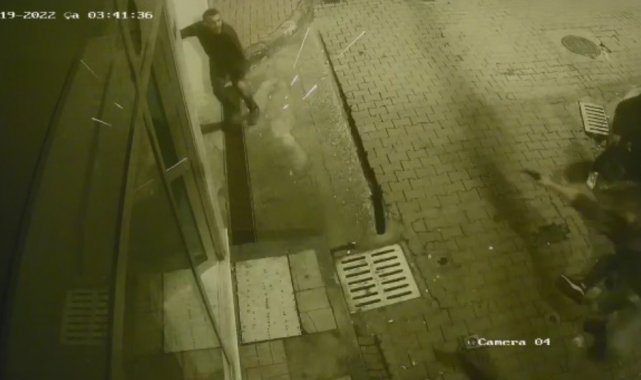 15 el ateş edilerek öldürülmüştü: "Mermisi bitince silahın kabzasıyla vurmaya başladı"