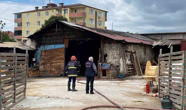 Alevlerden kaçarken yola fırlayan kedinin imdadına yetişti