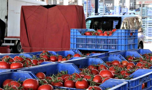 Antalya'da domates miktarı yıllık endekste yüzde 4,32 arttı