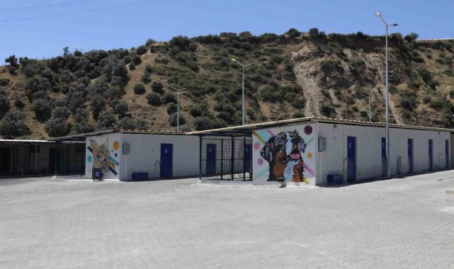 Aydın'ın modern Evcil Hayvan Bakım ve Rehabilitasyon Merkezi tüm ihtiyaçlara yanıt veriyor