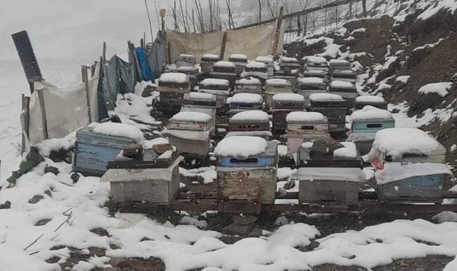 Balı ile ünlü Anzer Yaylası'na çıkan vatandaşların kar şaşkınlığı