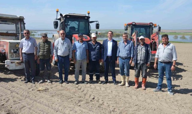 Beylikova'da bin dekar alanda yağlık ayçiçeği ve darı mısır ekimine başlandı