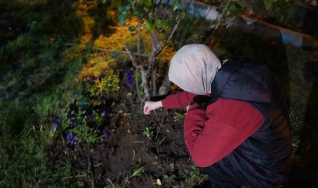 Bilecik'te yüzyıllardır süren gelenek bu yıl da yaşatıldı