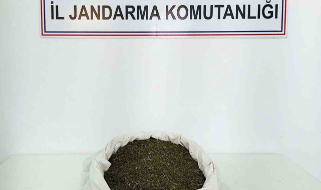Bingöl'de 3 kilo 650 gram uyuşturucu madde ele geçirildi
